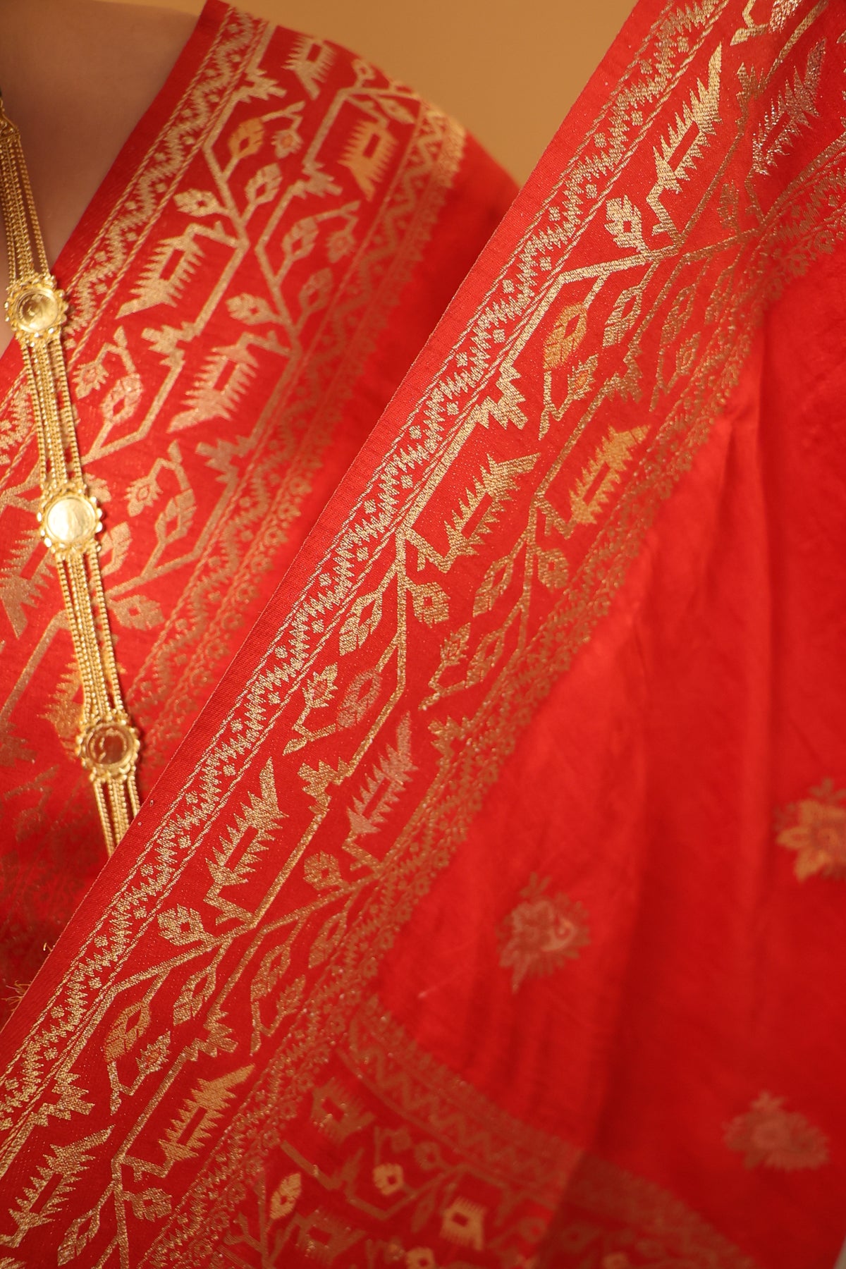 Aadhya Red Banarasi Silk Saree