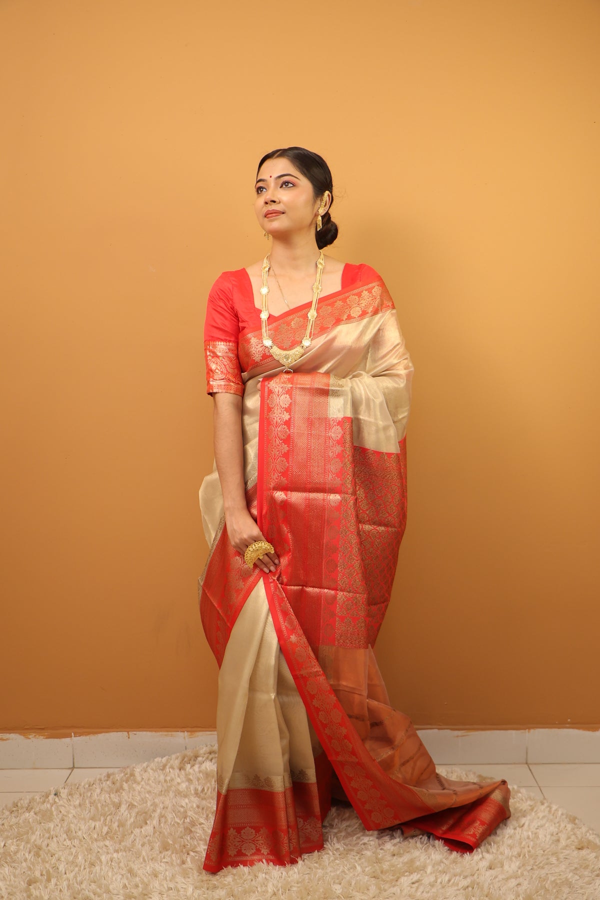 Tissue Benarasi Saree