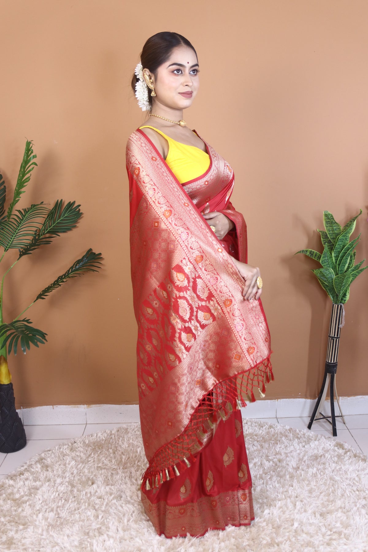 Aranya Benarsi Silk Saree