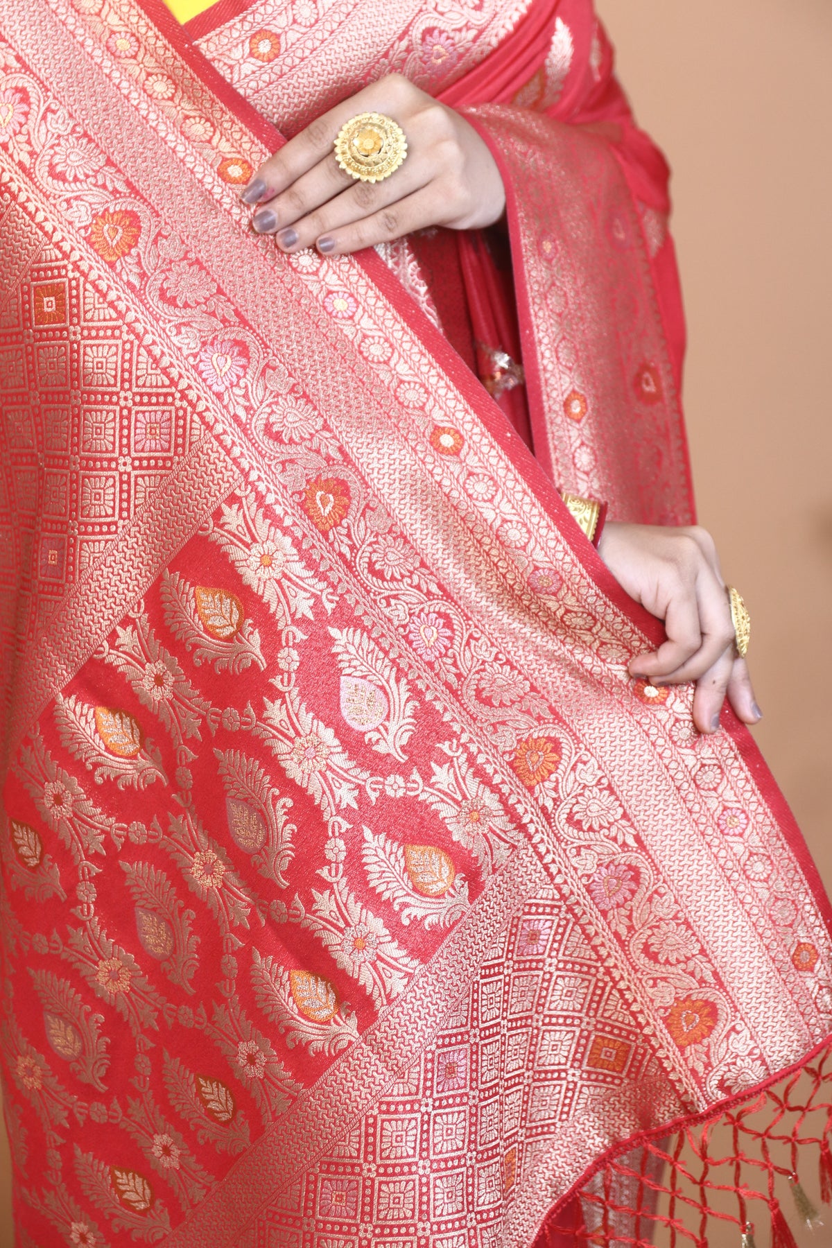 Aranya Benarsi Silk Saree