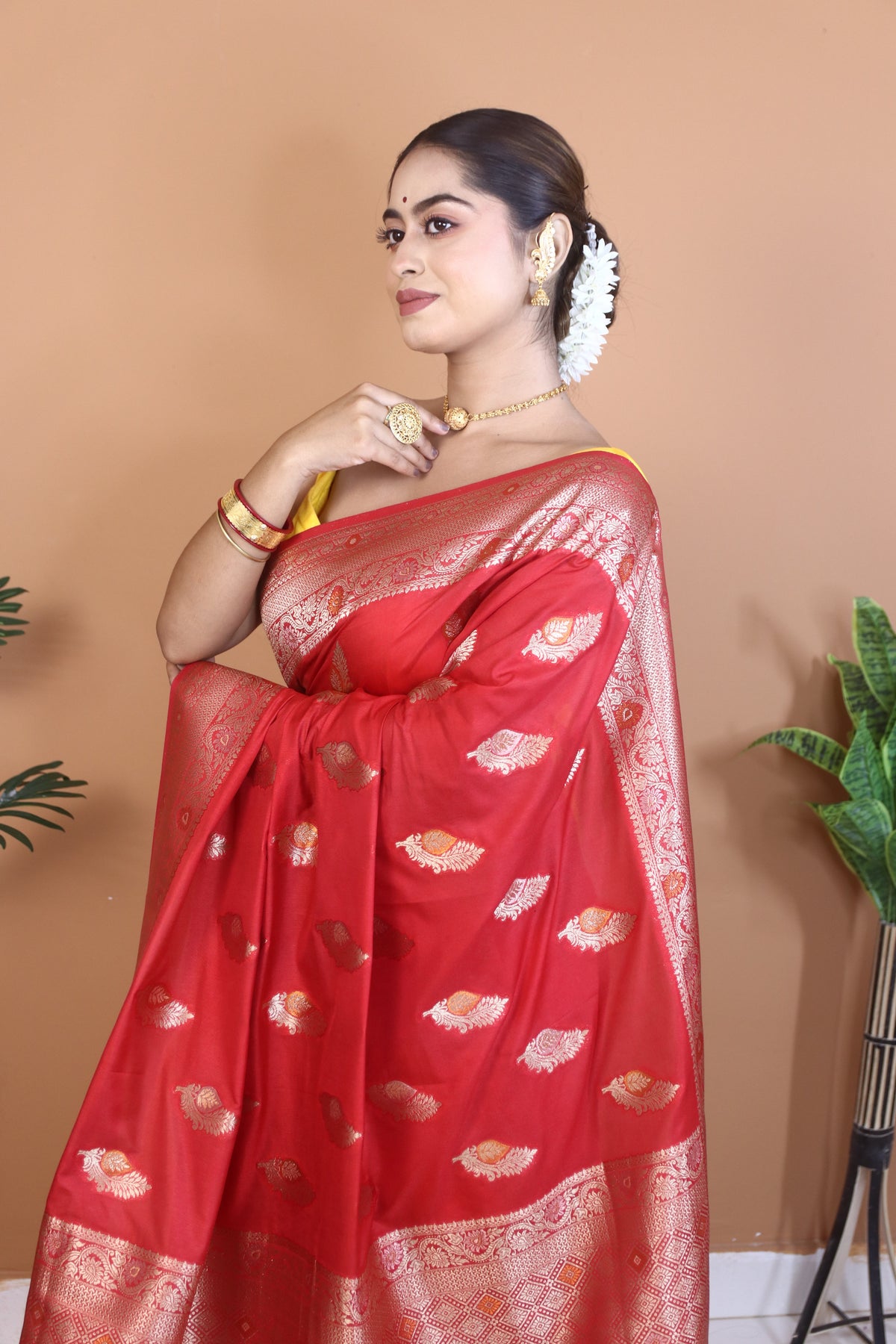 Aranya Benarsi Silk Saree